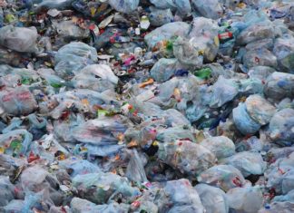 Grupa građana „Niš, moj grad“ traži hitno zatvaranje deponije na Bubnju i izgradnju nove