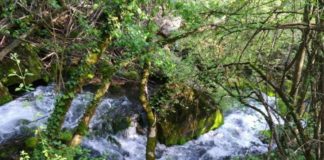 Usrkršnji izlet do izvora i misteriozne reke Ropot na Suvoj planini Izvor i reka Ropot na Suvoj planini