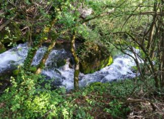 Usrkršnji izlet do izvora i misteriozne reke Ropot na Suvoj planini Izvor i reka Ropot na Suvoj planini