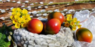 Danas je Pobusani ponedeljak