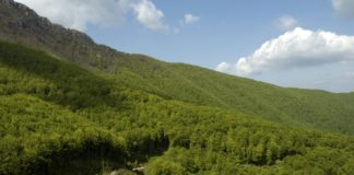 16. Memorijal Zorana Miletića za obnovu Doma na Bojaninim vodama Bojanine vode