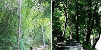 Turisti i gosti će uskoro šetati novim Stazama zdravlja u Niškoj Banji