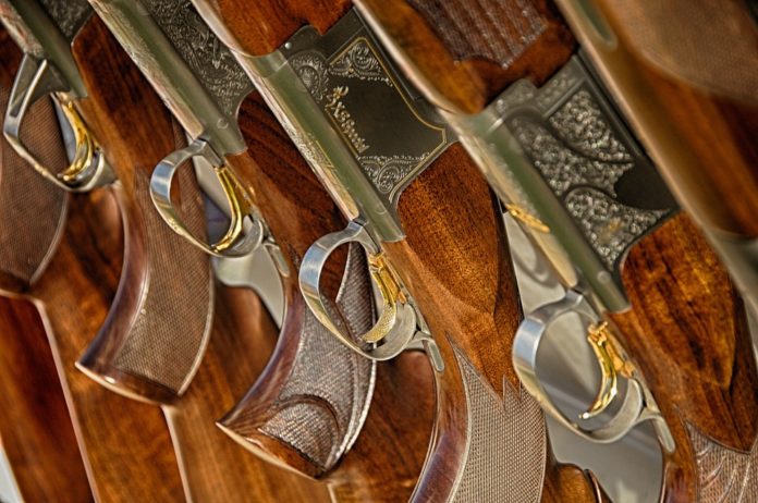 Vatreno oružje; Foto: Pixabay
