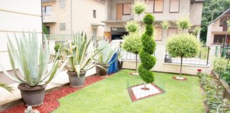 Neka cveće govori: Ko ima najlepša dvorišta i balkone u Nišu Najlepše dvorište u Nišu, konkurs "Neka cveće govori"; Foto: GO Medijana