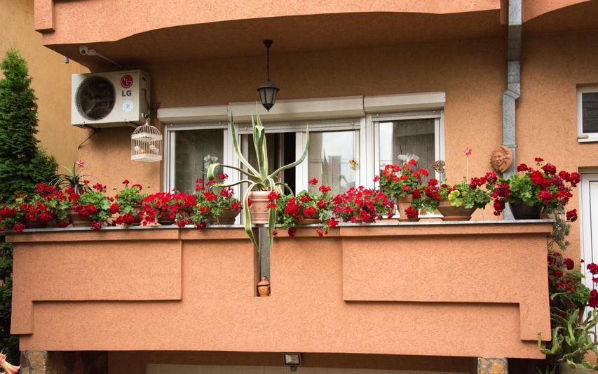 Najlepši balkon u Nišu; Konkurs "Neka cveće govori"; Foto: GO Medijana