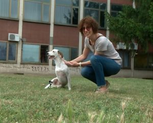 Prva personalizovana proteza za pse; Foto: tvkcn