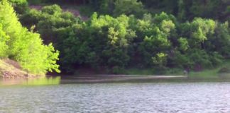 Svi u prirodu: Izlet do Malog Jastrebca i Krajkovačkog jezera Krajkovačko jezero; Printscreen YouTube