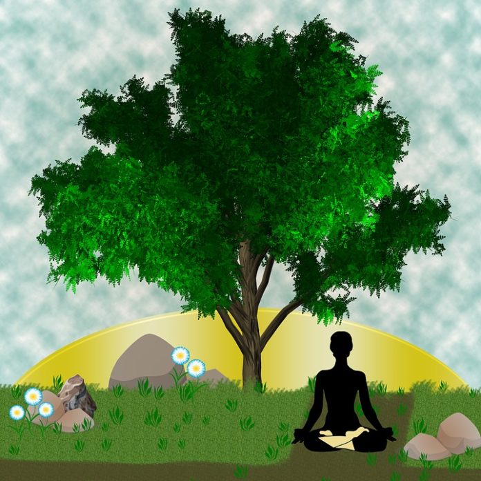 Yoga Vežbanje joge na otvorenom u Nišu