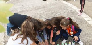 Odred izviđača„Josif Pančić“ organizuje akciju „Jesenje radosti“ Odred izviđača„Josif Pančić