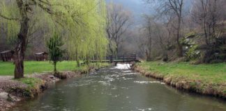 Toponička reka za sada bezbedna Odbranimo reke Stare planine
