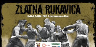 Međunarodni turnir „Zlatna rukavica“ u Nišu Zlatna rukavica