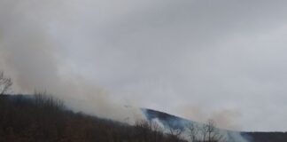 Saopštenje štaba za vanredne situacije Gradske opštine Niška Banja Na području između Ostrovice, Ravnog Dola i sela Crnče juče oko 15 časova izbio je veliki požar. Vatra je zahvatila više od 20 hektara livada, vinograda i šuma.