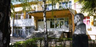 Za ozelenjavanje škola obezbeđeno 12 miliona dinara Ozelenjavanje škola