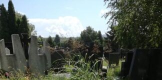 Počelo uredjivanje Novog groblja Novo groblje Niš