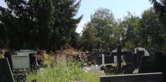 Katastrofalno stanje na Novom groblju u Nišu