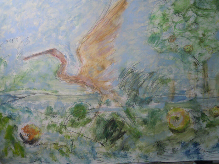 Crvena čapčlja i jabuke sa kanala DTD, 2018. ulje na kartonu, 102 x 72cm DSCN9771 (1) Crvena čapčlja i jabuke sa kanala DTD, 2018. ulje na kartonu, 102 x 72cm