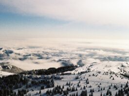 Turistički vodič kroz Kopaonik od A do Š