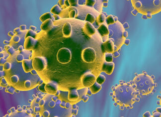 Nišlija zaražen koronom na kruzeru u Japanu Korona virus