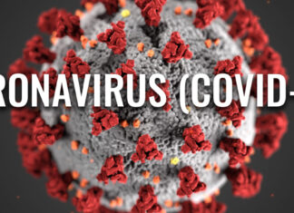 Izveštaj 21. mart u 18h korona virus