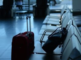 EU poklanja 40.000 besplatnih putnih karata: Mladi iz Srbije mogu da istraže Evropu vozom