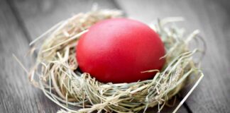 Verovanja čuvarkuće i zašto se fabra u crveno čuvarkuća