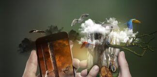 Svetski dan zaštite životne sredine: Slavimo raznovrsnost svih živih bića