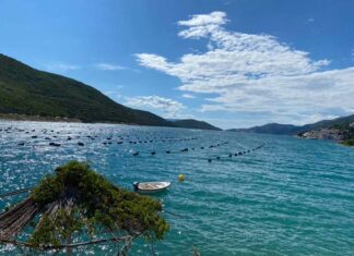 Neum: novo more srpskih turista Neum