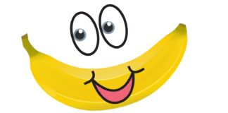 Banana: Voće u obliku osmeha, koje nas čini srećnima banana