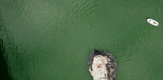 Reke su ogledalo prirode: Portret Jovana Memedovića od plastičnih flaša sakupljenih iz reke reke