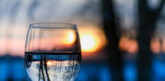 Vikend u Nišu: Poslednji dani leta u našem gradu vikend u nišu