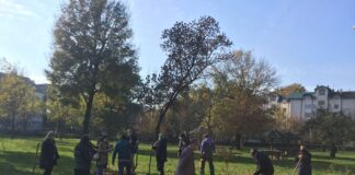 Park Čair dobio 20 stabala javora i jasena u okviru akcije „Stablo za lepši Niš“ park čair