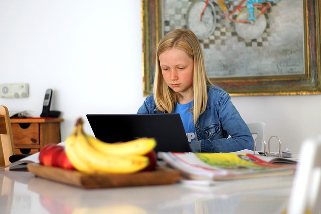 Foto: Ilustracija, Pixabay zaseda krizni štab