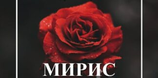 Četiri nagrade za predstavu Akademskog pozorišta „Miris života unazad“ miris života unazad