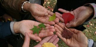Međunarodni dan tolerancije: Prihvatanje različitosti, solidarnost sa svima Međunarodni dan tolerancije
