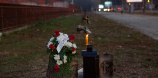 Nišlije pale sveće posečenim kedrovima, iz Grada kažu da će svako posečeno stablo biti zamenjeno sa pet novih nišlije pale sveće