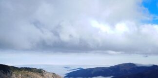 Danas je Međunarodni dan planina: Ugrožena njihova biološka raznovrsnost međunarodni dan planina