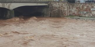 Nastavljena potraga za devojkom koja je juče upala u Nišavu u Pirotu potragu za devojkom