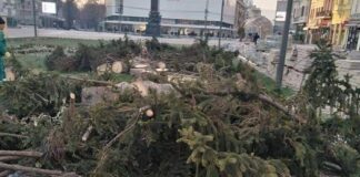 Sotirovski o posečenom drveću: Plan uređenja Trga smo zatekli i nismo mogli da ga menjamo Sotirovski o posečenom drveću