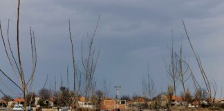 Lalinac: Na mestu gde je bila deponija posađeno 1.100 topola