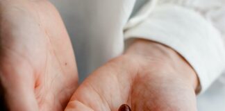 Paketi vitamina za penzionere biće podeljeni do 5. juna paketi vitamina za penzionere