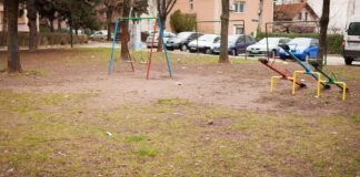 Zeleni zid Niš: Inicijativa za prvi park u Durlanu zeleni zid niš