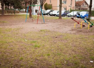 Zeleni zid Niš: Inicijativa za prvi park u Durlanu zeleni zid niš