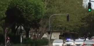 Preminula žena iz automobila u koji je udario mladić sa poternice kod Jugbogdanovca preminula
