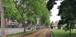 Za rekonstrukciju dela biciklističke staze na Bulevaru Nemanjića 6 miliona dinara
