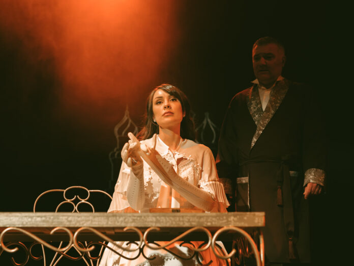 Foto: Narodno pozorište Niš ana karenjina