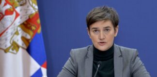 Brnabić: Ne planira se kampanja pobede nad koronom ana brnabić