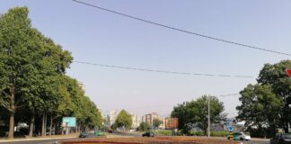 Dašić: Fontana u kružnom toku skretanje pažnje, park kod „Delte“ ne postoji u planskim dokumentima fontana