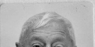 In memoriam: Radisav Jovanović Gibac gibac