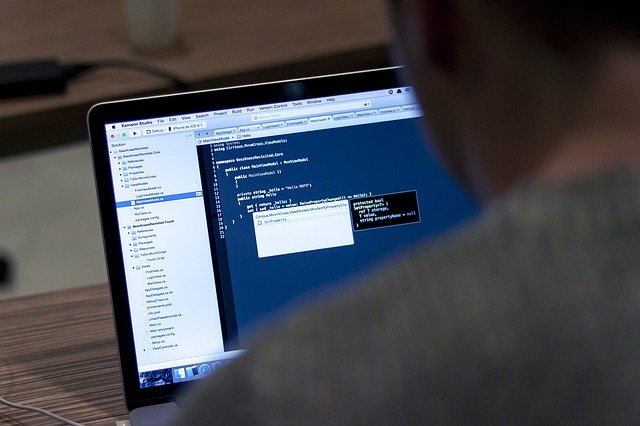 Foto: pixabay, ilustracija programerima