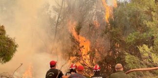 Vatrogasci iz Srbije među kojima su i pripadnici iz Niša nastavljaju gašenje požara u Grčkoj u grčkoj